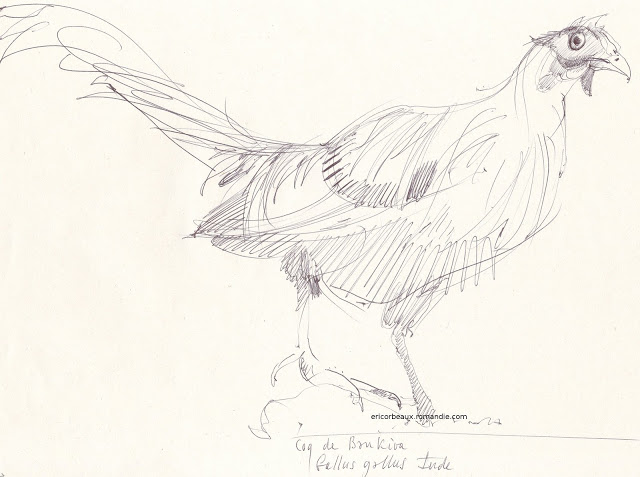 640x477 Eric The Illustrator