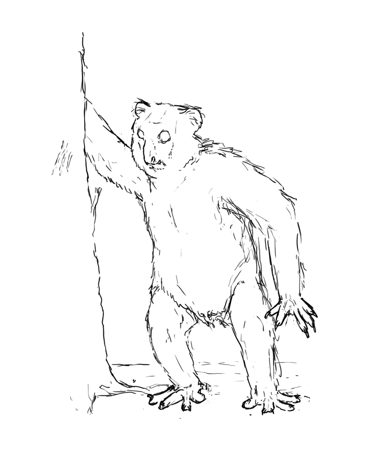 1245x1550 Fringe Of Zoology 011 [Article] Yowie By Sargeantsatan