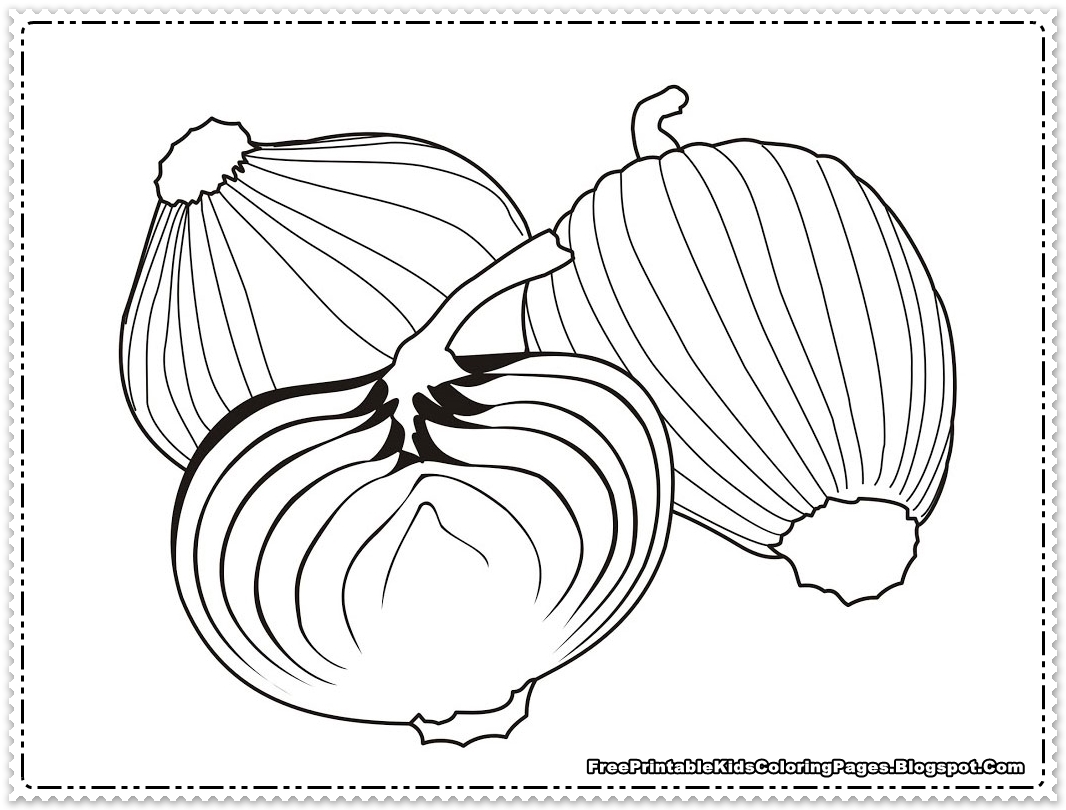 1066x810 Zucchini Coloring Onions Kids Pages