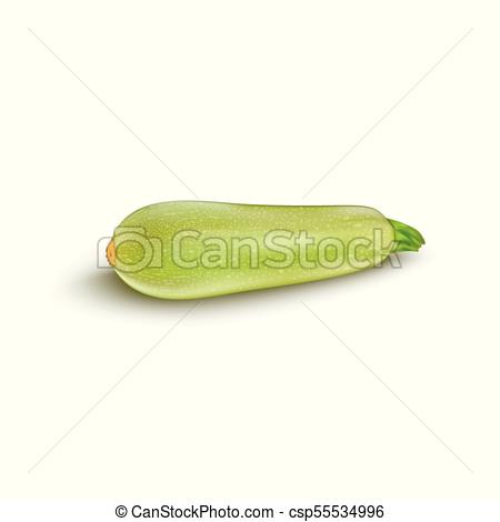 450x470 Squash Vegetable Marrow Zucchini Isolated On White Eps Vectors