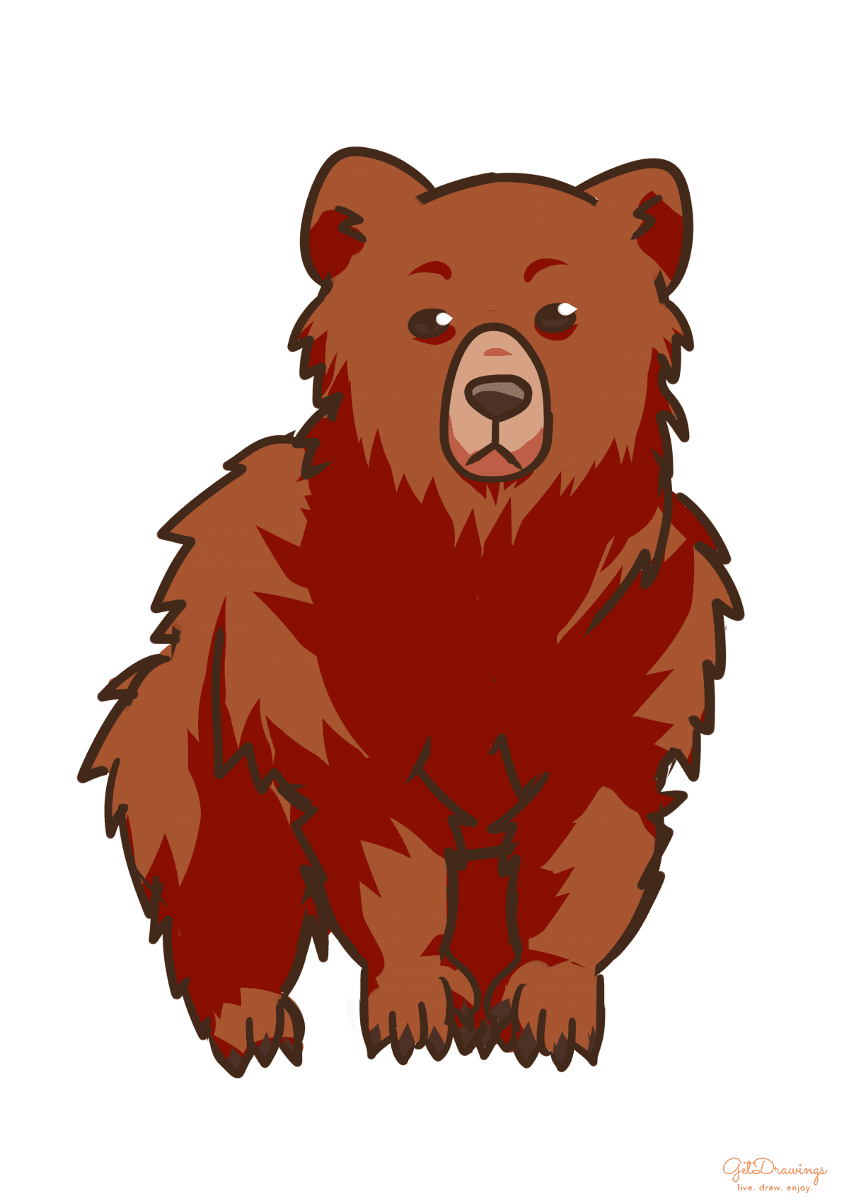 How to draw a Bear step by step colored
