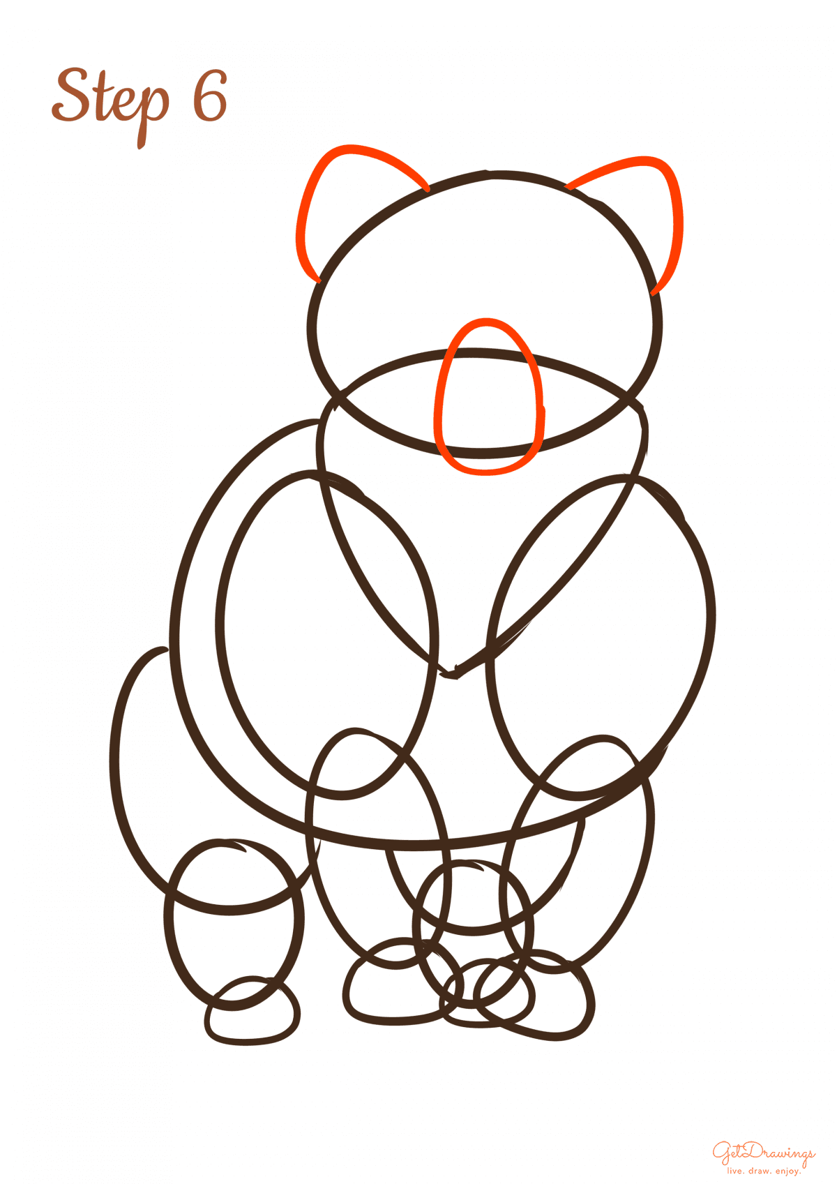 How to draw a Bear step by step step 6