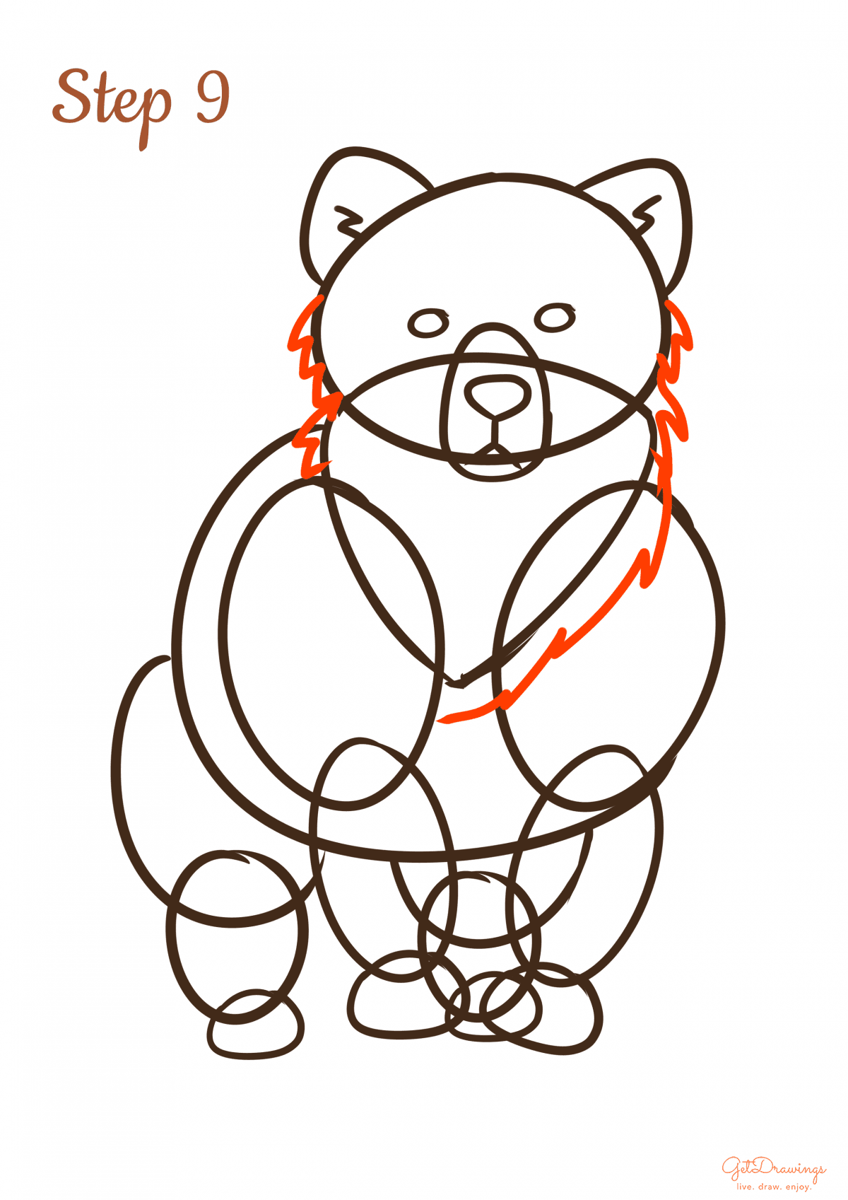 How to draw a Bear step by step step 9