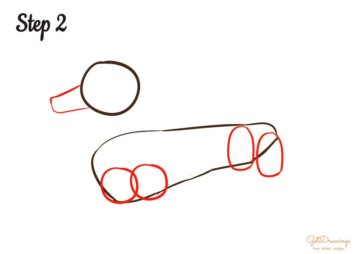 How to draw a Dachshund dog?