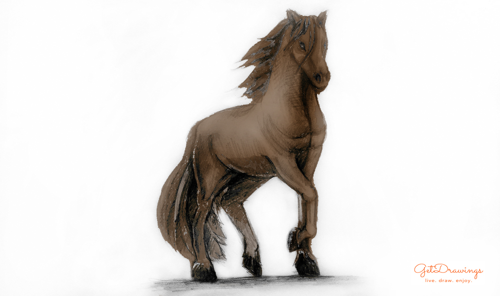 How to draw a Horse?