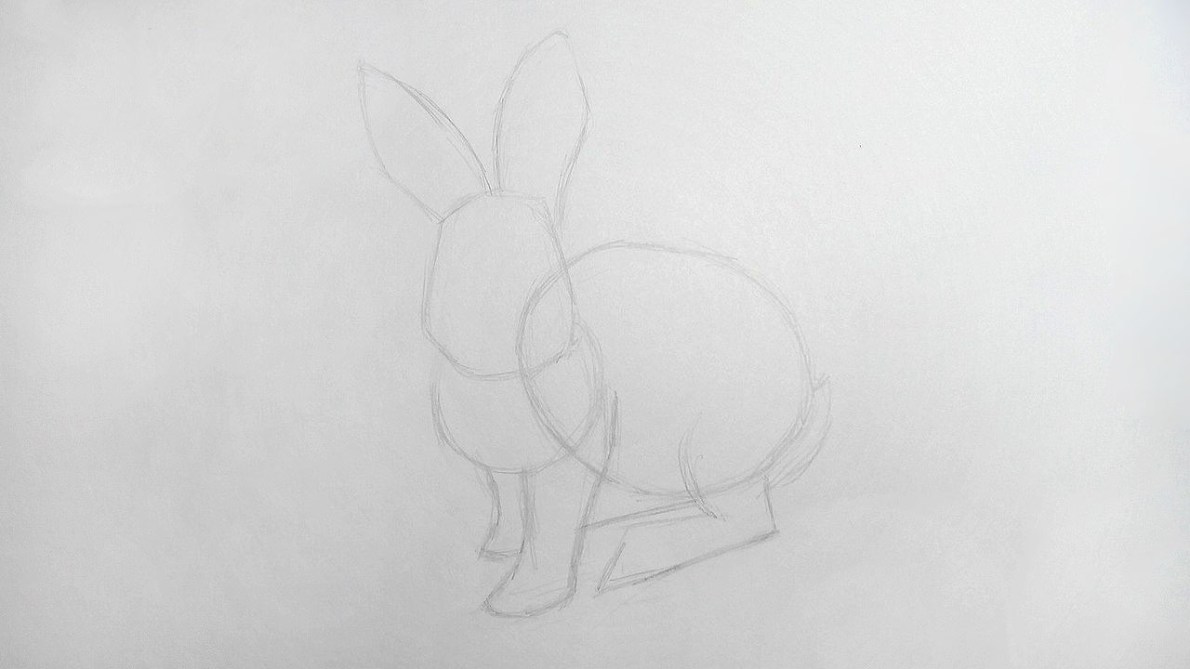 How to draw a Rabbit?