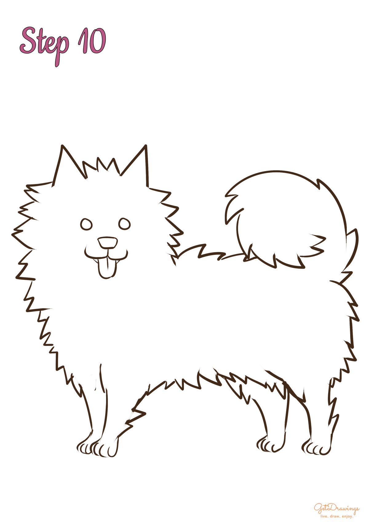 How to draw a Samoyed Dog?