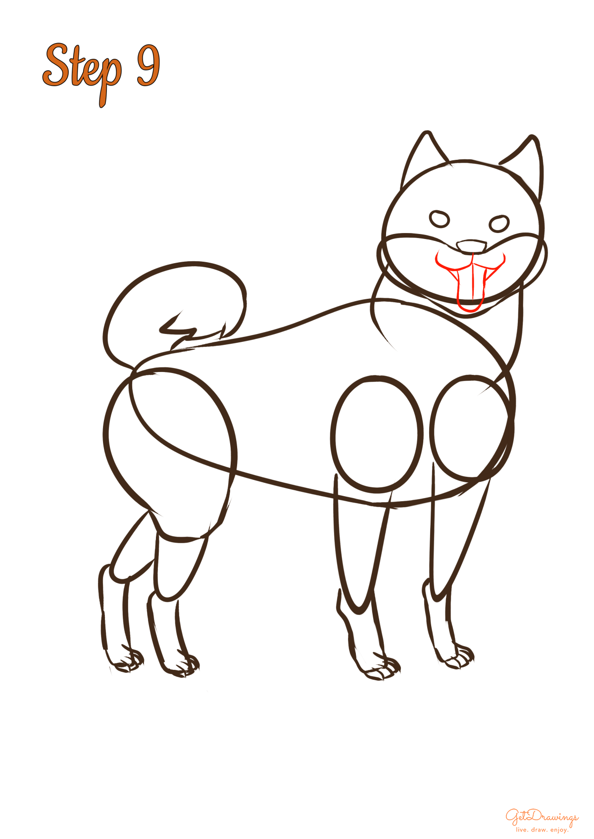 How to draw a Shiba Inu dog?
