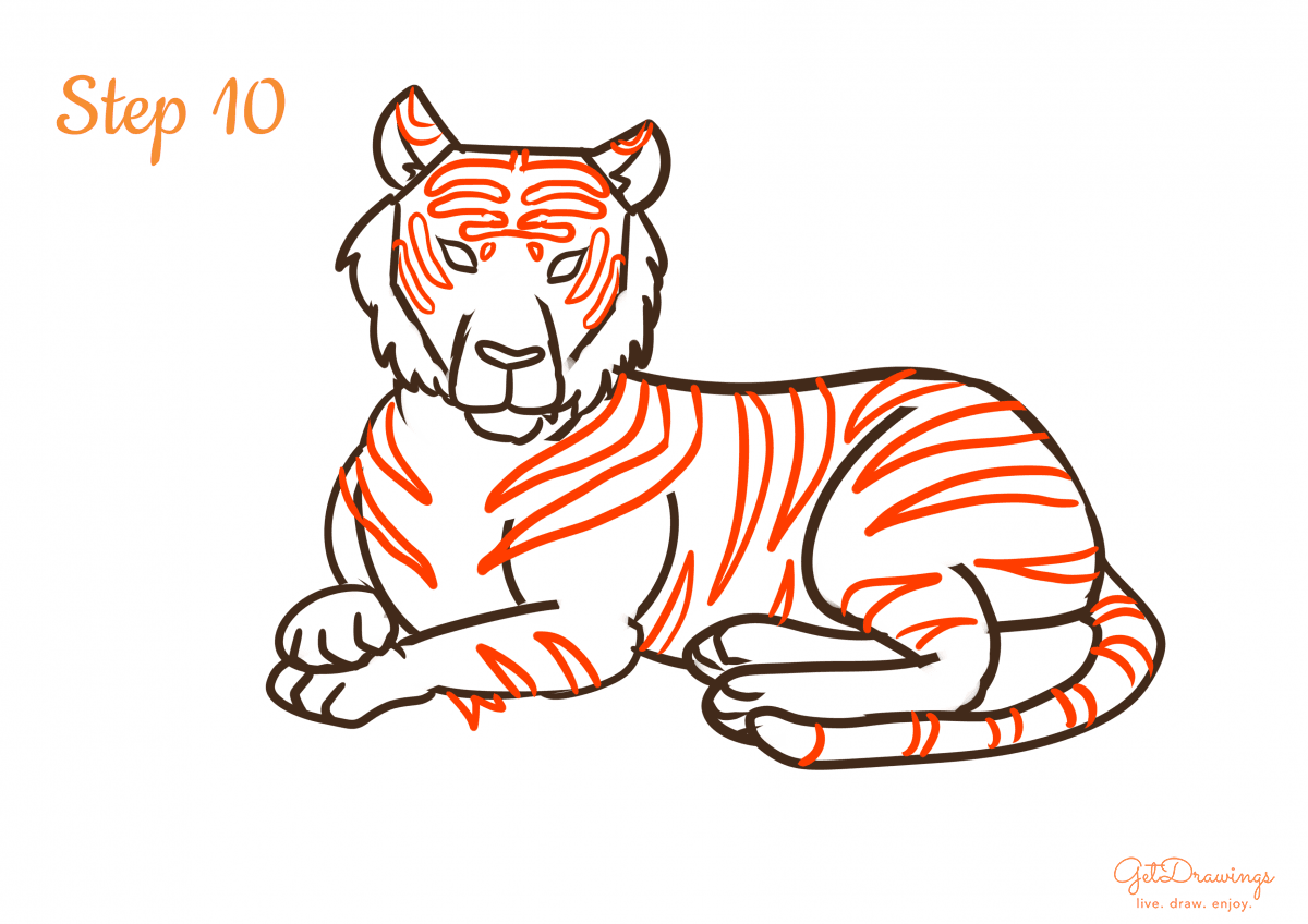 How to draw a Tiger | GetDrawings.com