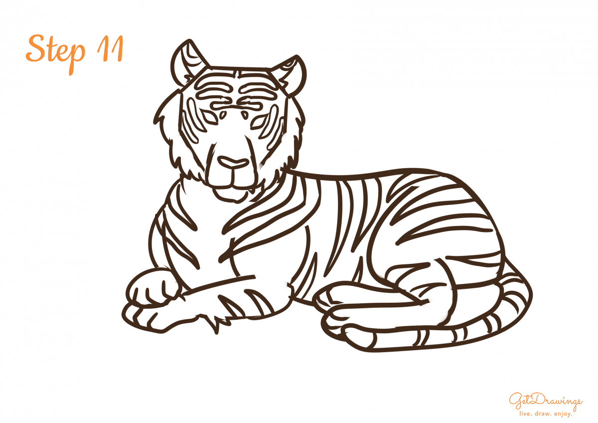 How to draw a Tiger step 11