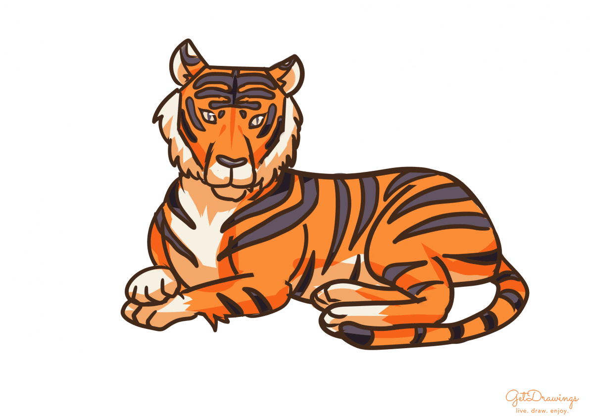 How to draw a Tiger colored