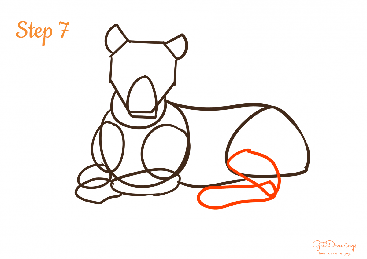 How to draw a Tiger step 7