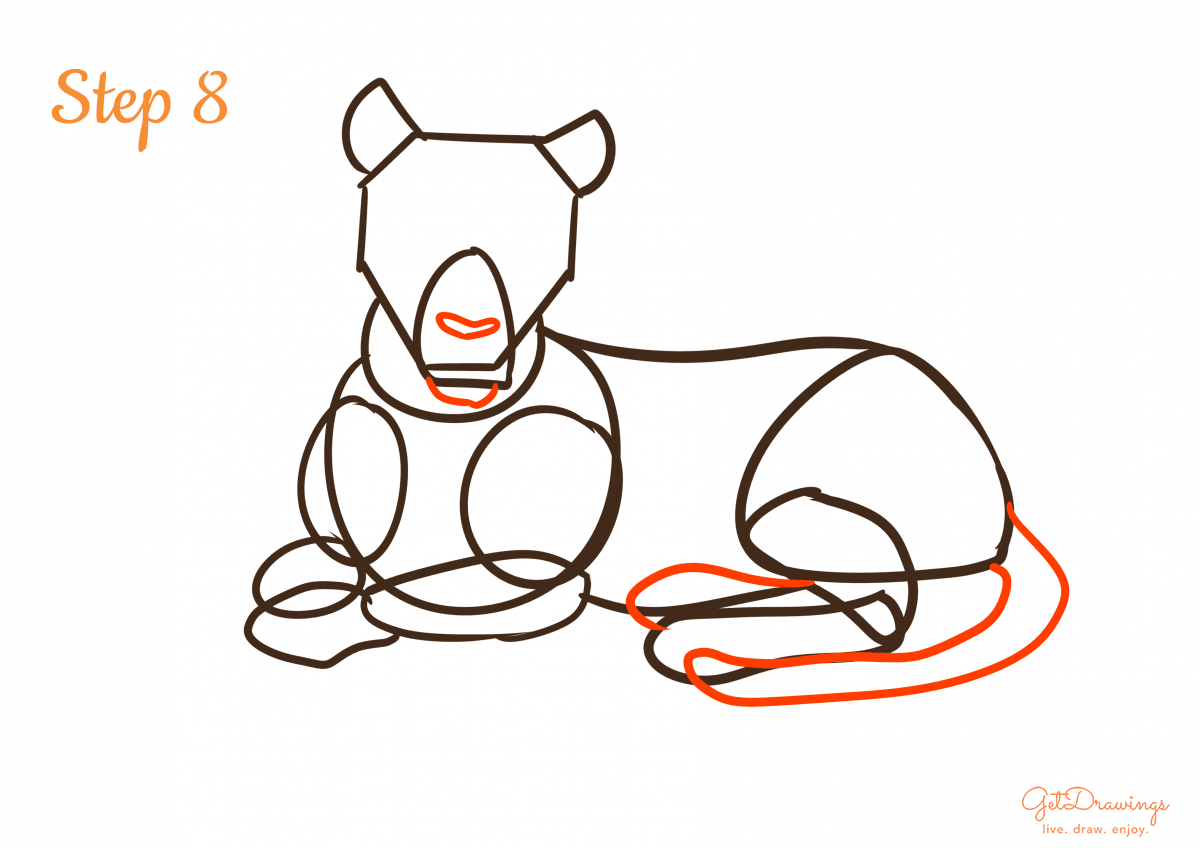 How to draw a Tiger step 8