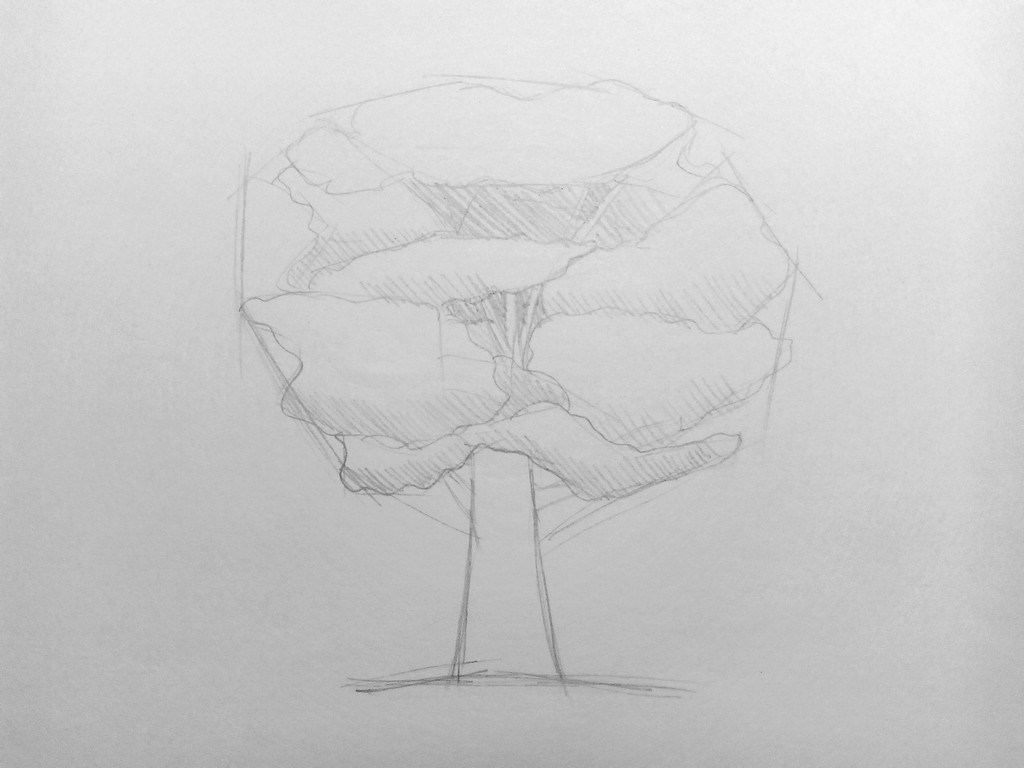 How to draw a Tree?