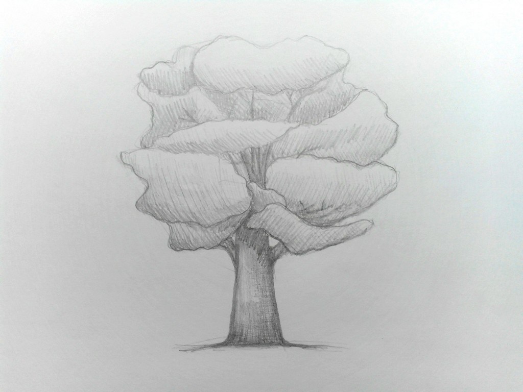 How to draw a Tree? | GetDrawings.com