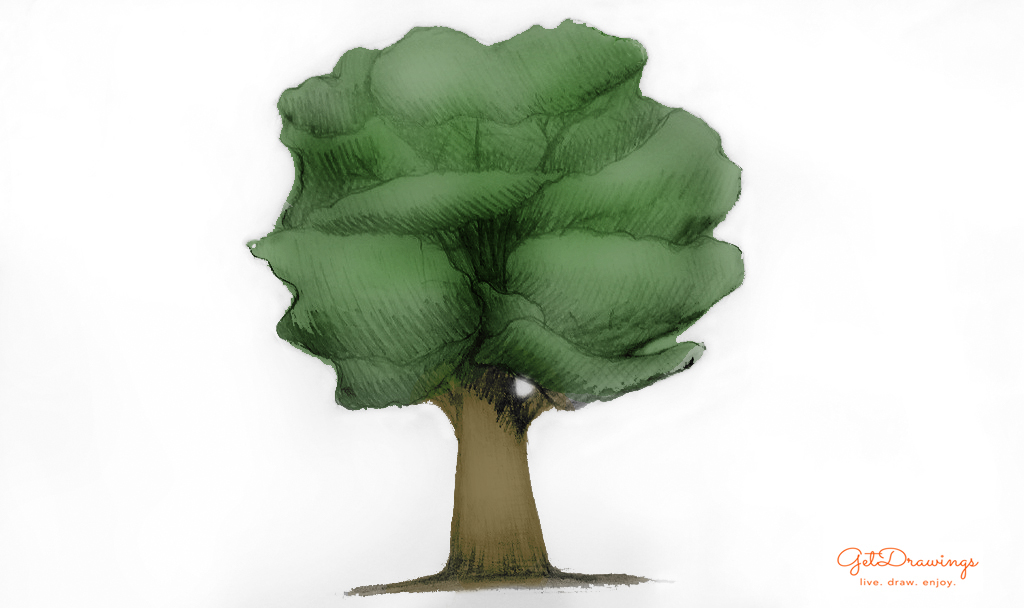 How to draw a Tree?