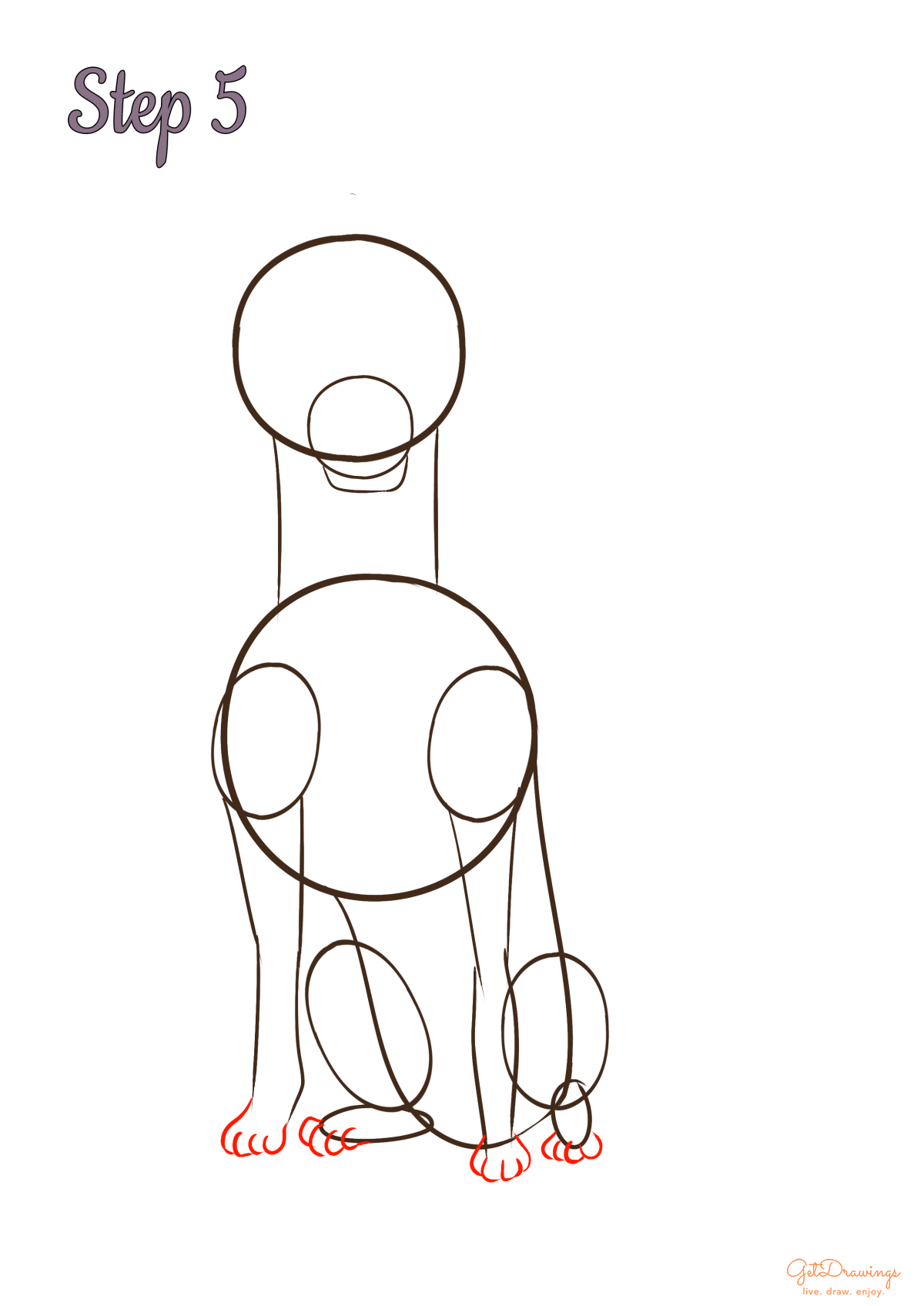 How to draw a Weimaraner dog?