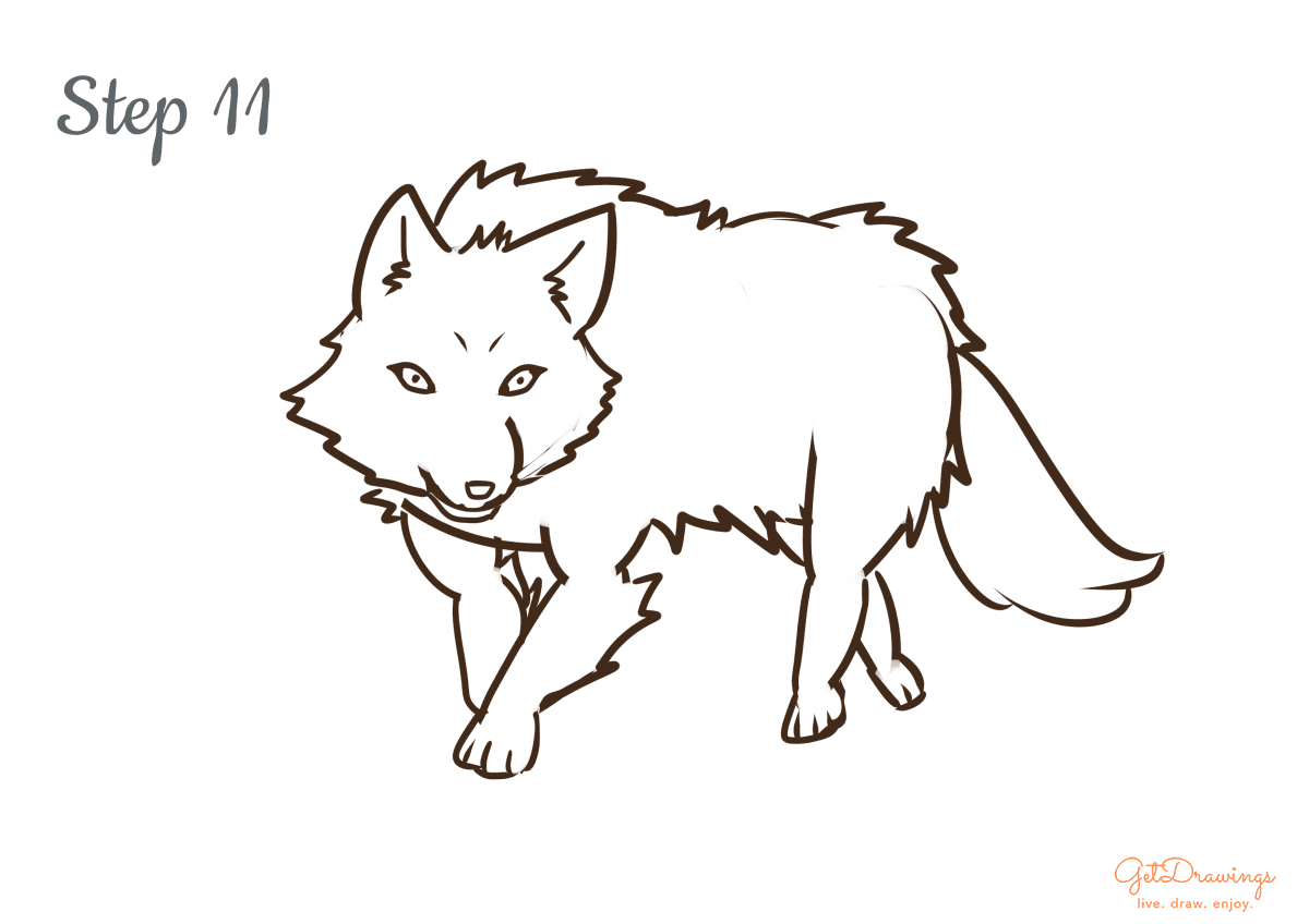 How to draw a Wolf step by step step 11