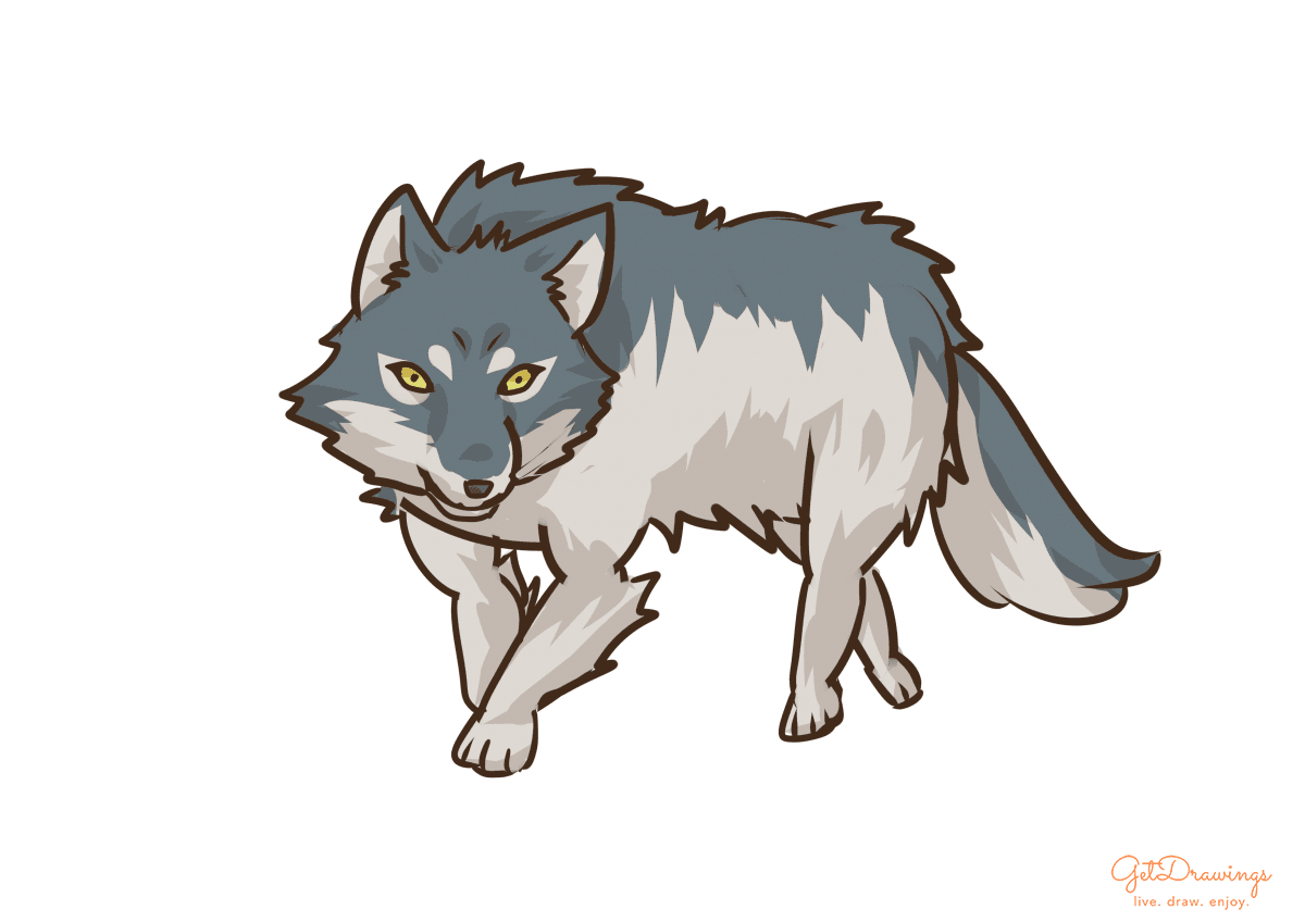 How to draw a Wolf step by step colored