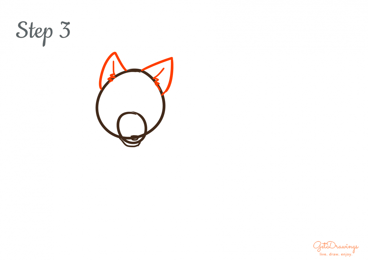 How to draw a Wolf step by step step 3