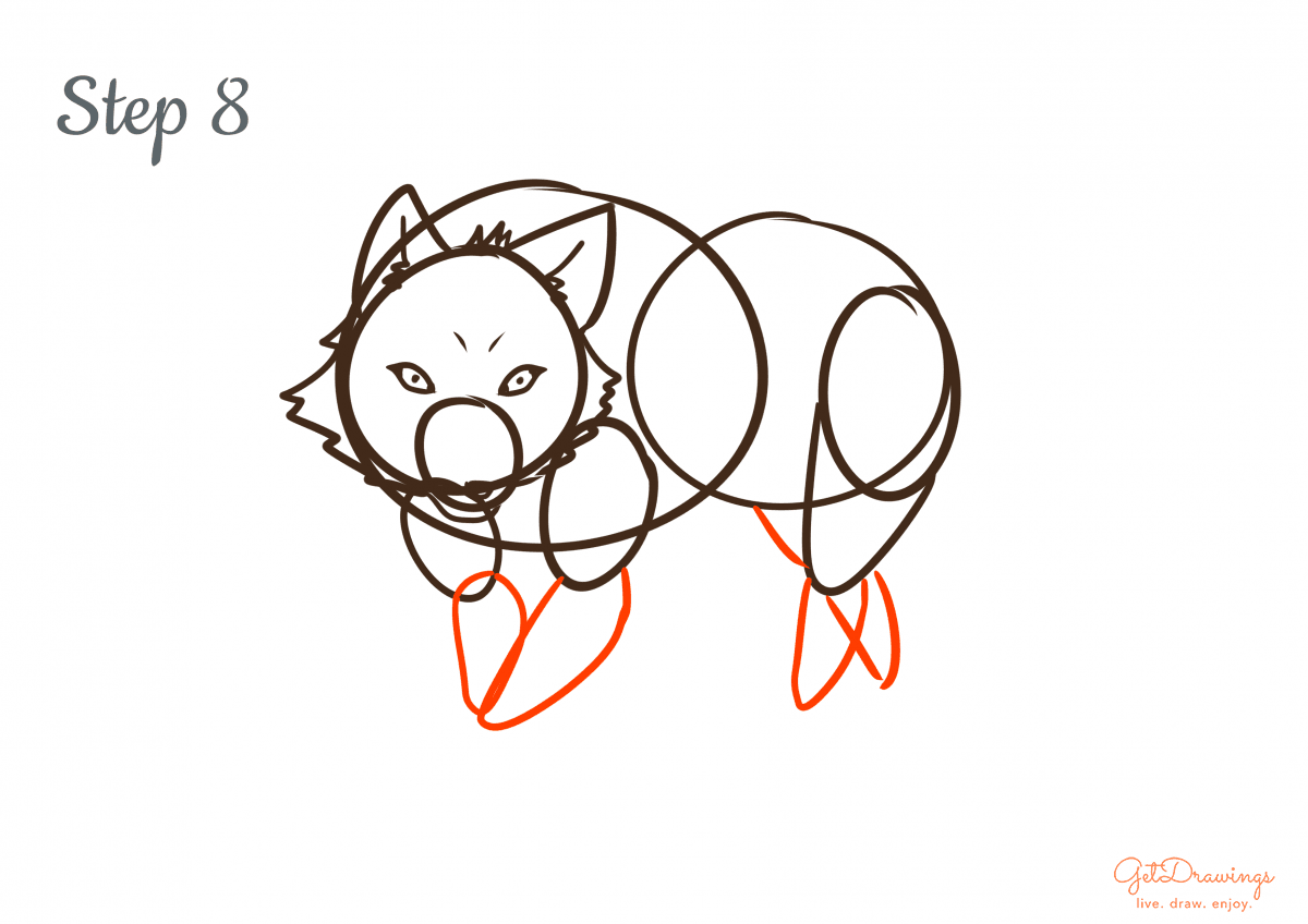 How to draw a Wolf step by step step 8