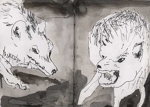 Animal drawing wolf ink on paper raphael perez artist