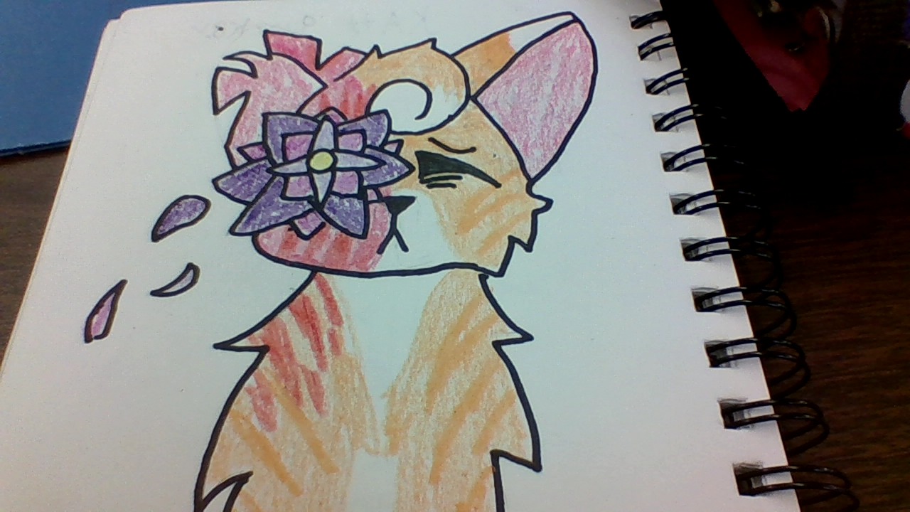 This is Brightheart so ya.
