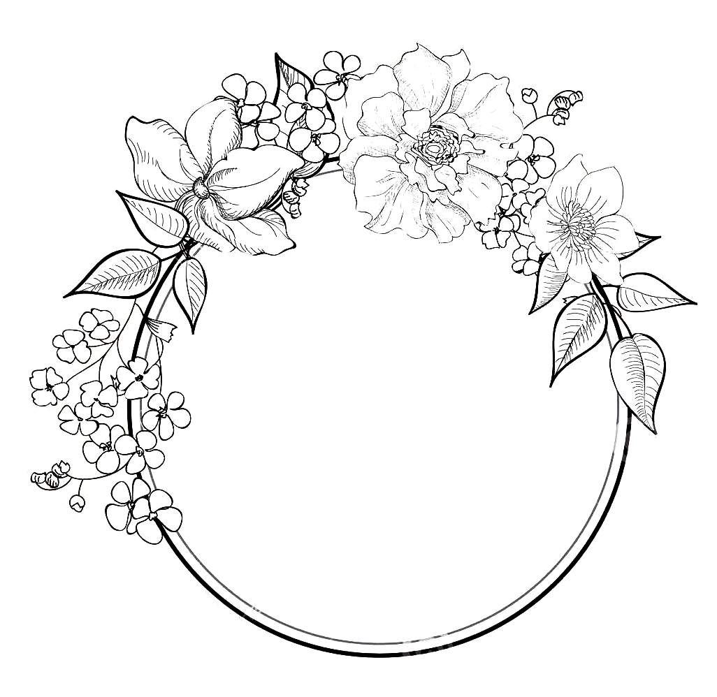 Flower wreath drawing