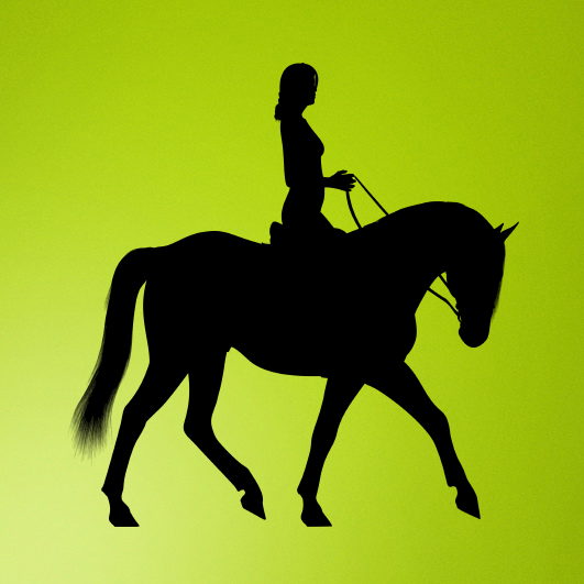 Girl riding horse silhouette vector