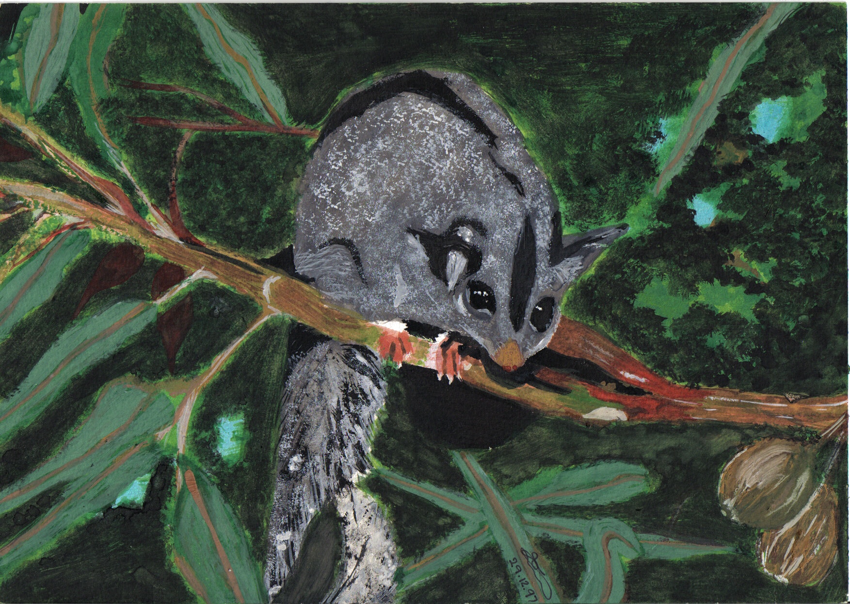 Painting of a possum I did in a tree at our house