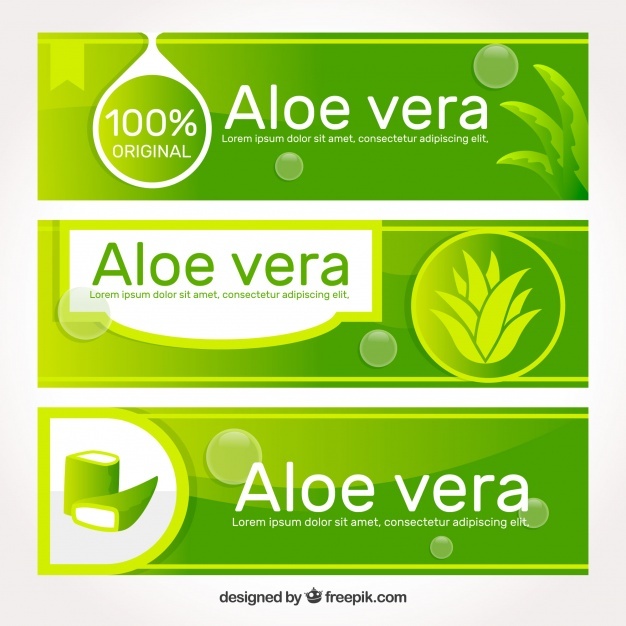 626x626 100 Natural Vectors, Photos And Psd Files Free Download