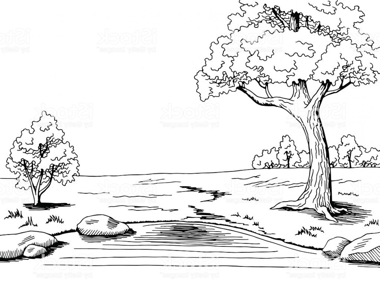1228x921 Park Lake Tree Graphic Black White Landscape Sketch Illustration