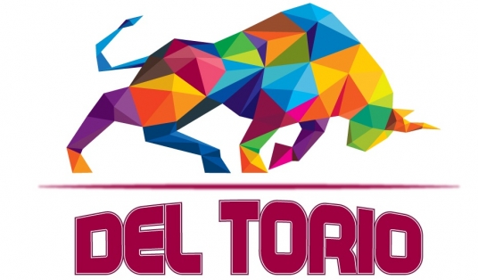 536x314 Design 3 Awesome Vector Logo For Your Business For Fawadyk1