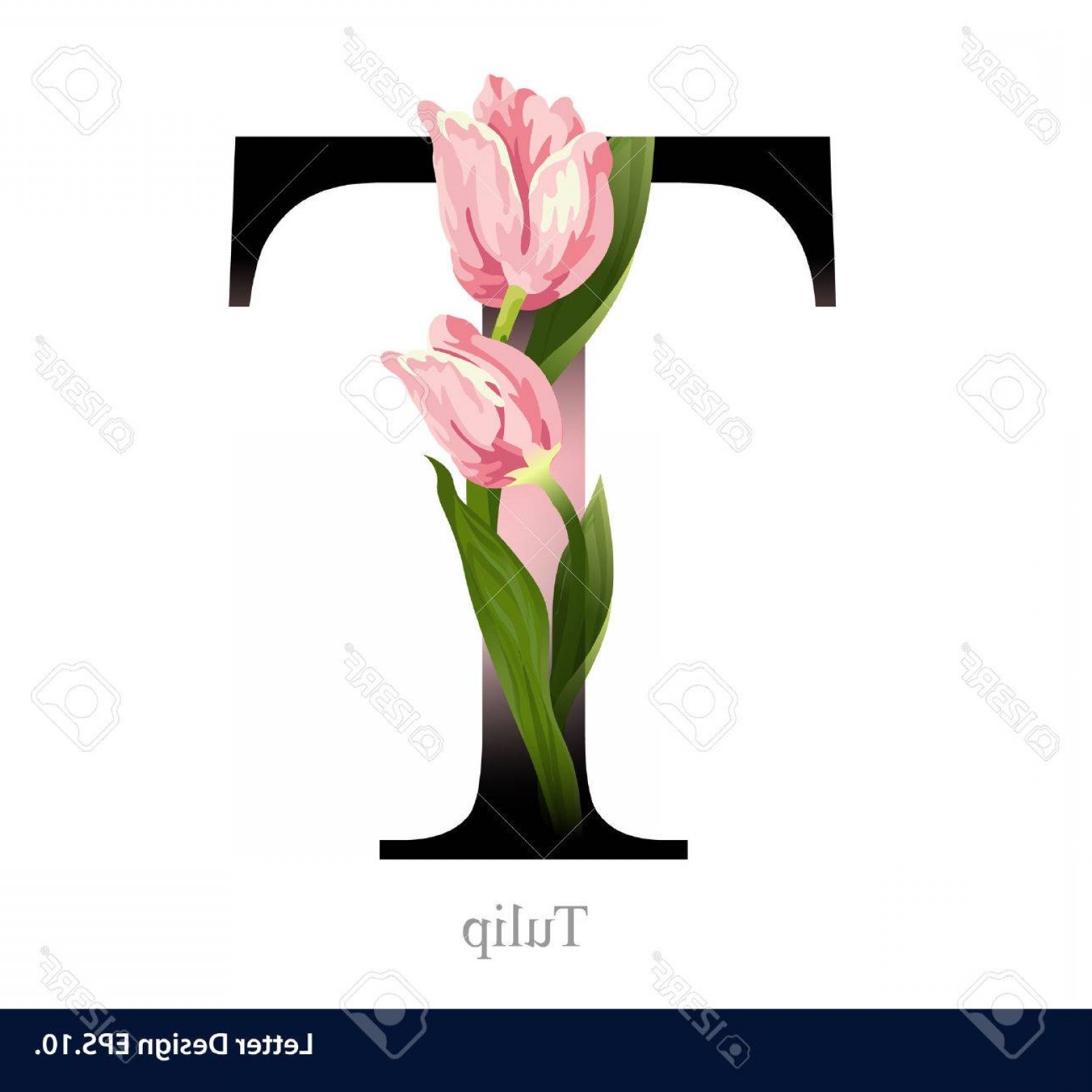 1560x1560 Photostock Vector Letter T Vector Alphabet With Tulip Abc Concept