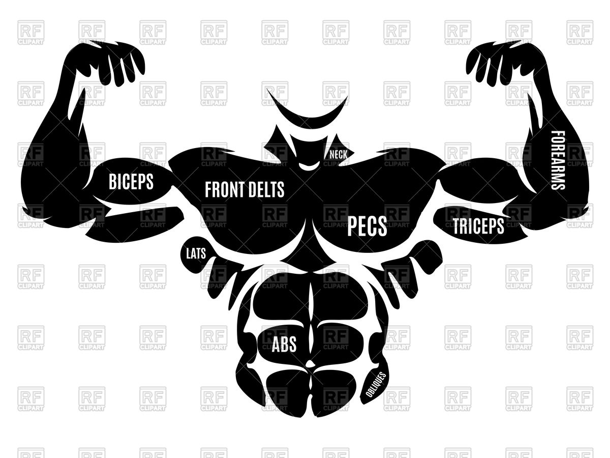 1200x900 Male Athletic Body