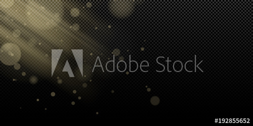 500x250 Yellow Bokeh Lights And Rays Light On A Transparent Background