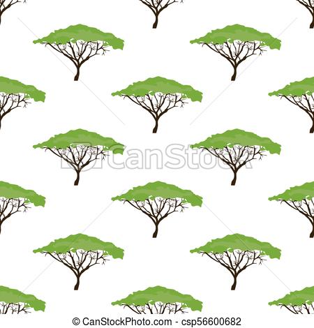 450x470 Acacia Tree Seamless Pattern On The White Background. Vector