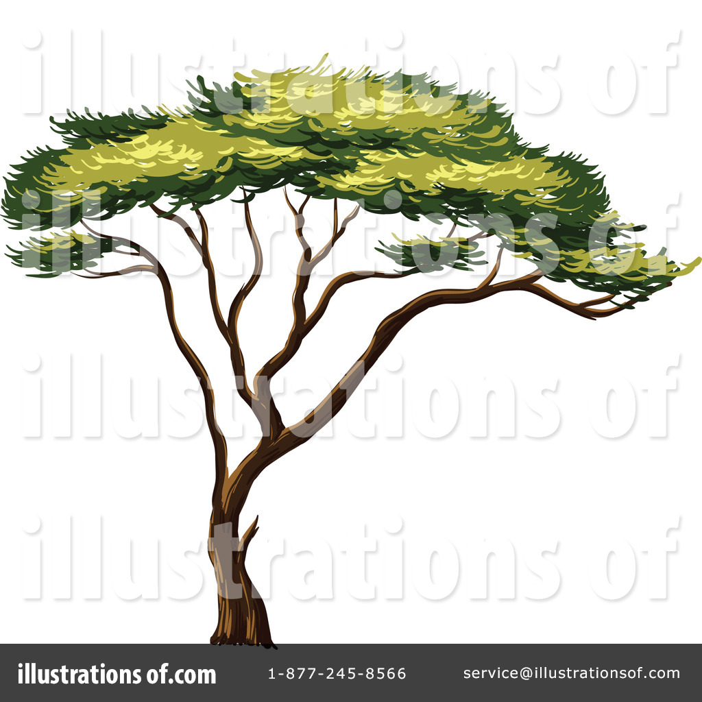 1024x1024 Clipart Acacia Tree 1128695 Illustration By Graphics Rf