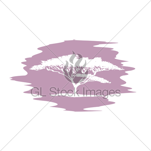 500x500 Hand Drawing Sketch Of Acacia Tree Logotype. Vector White... Gl