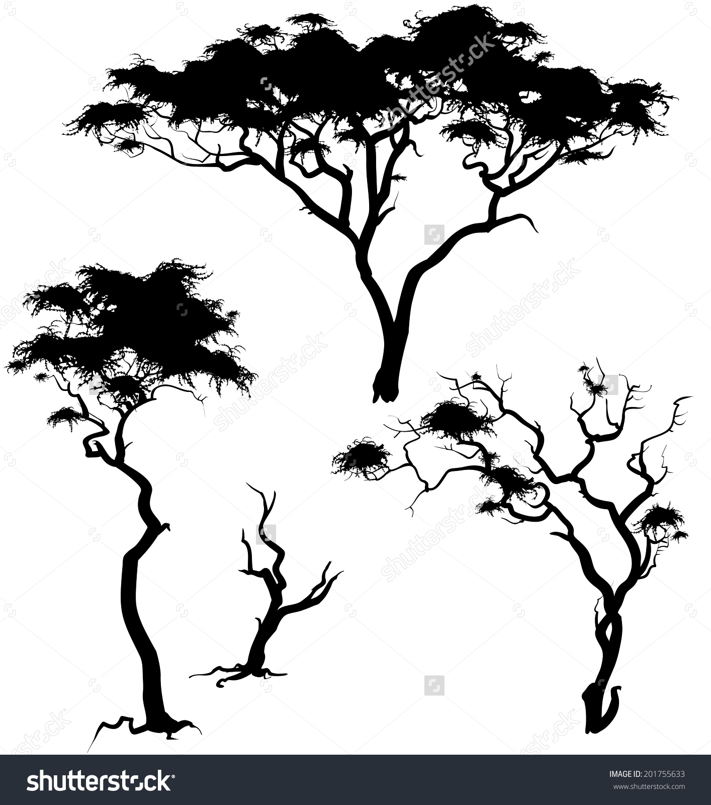 1414x1600 Collection Of African Savanna Tree Drawing High Quality