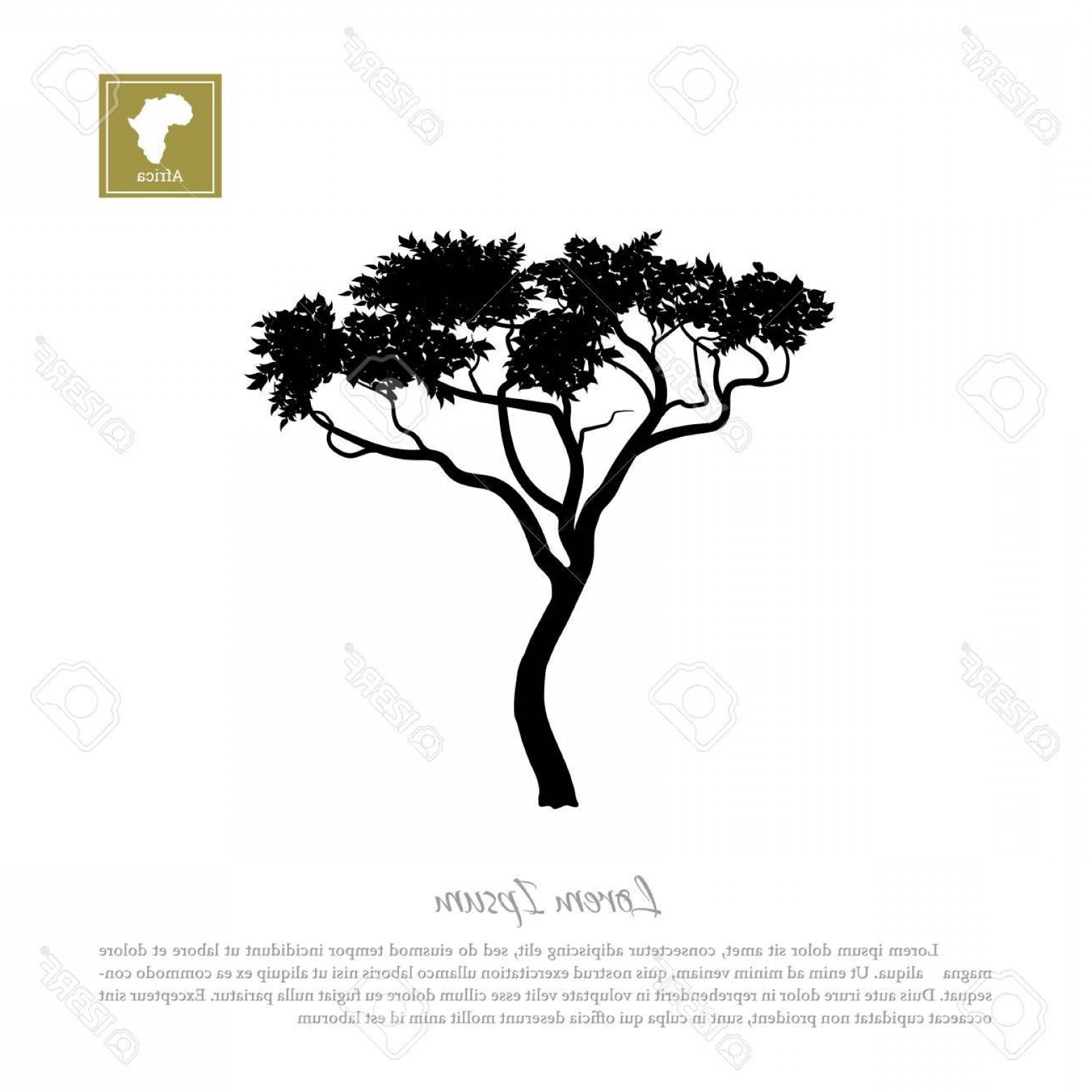 1560x1560 Photostock Vector Black Silhouette Of A Tree And White Background