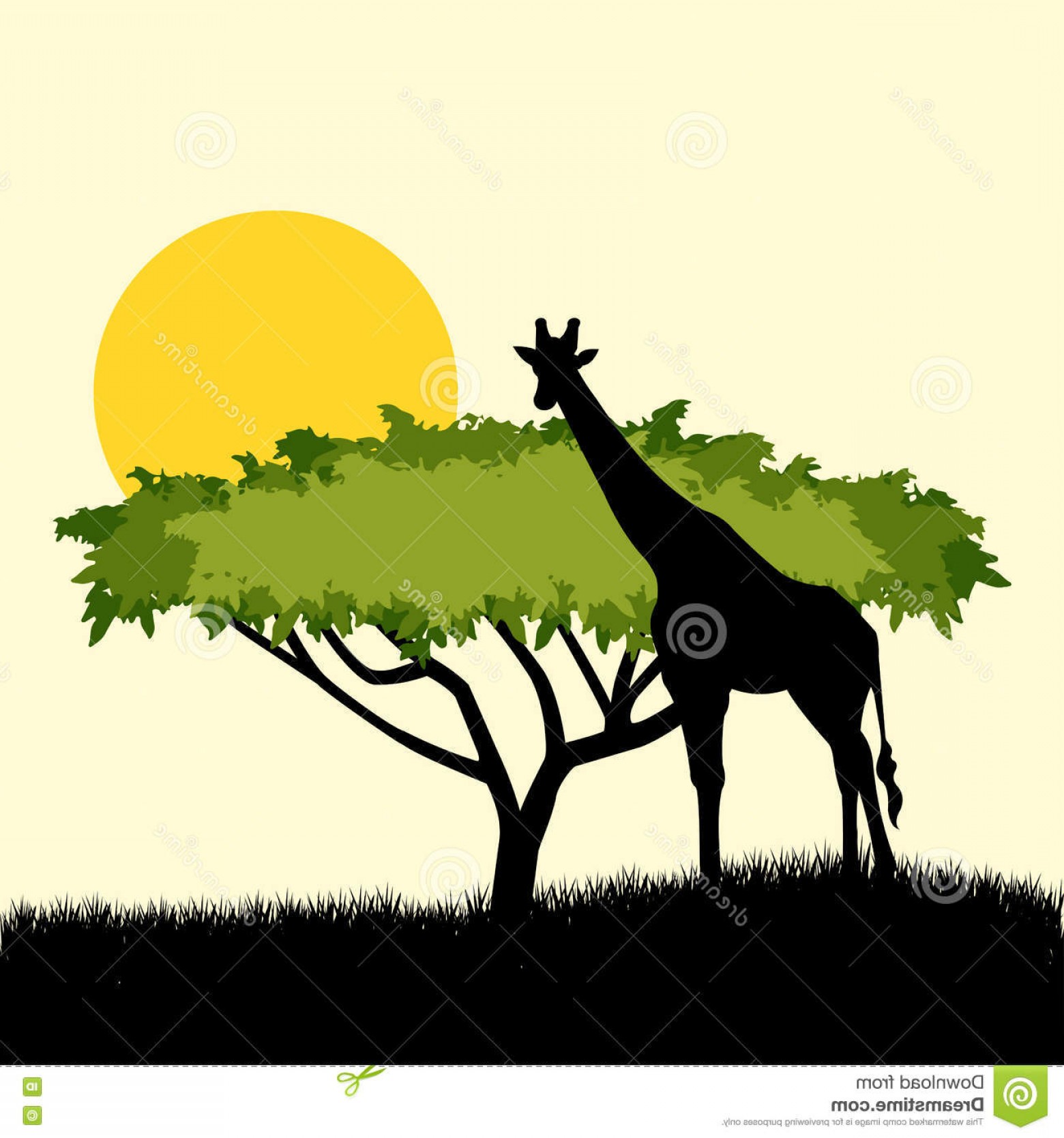 1560x1668 Stock Illustration Acacia Tree Giraffe Silhouette Concept Design