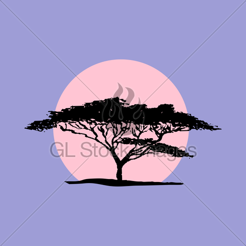 500x500 Vector Silhouette Of Acacia Tree In Safari Sunset Background Gl