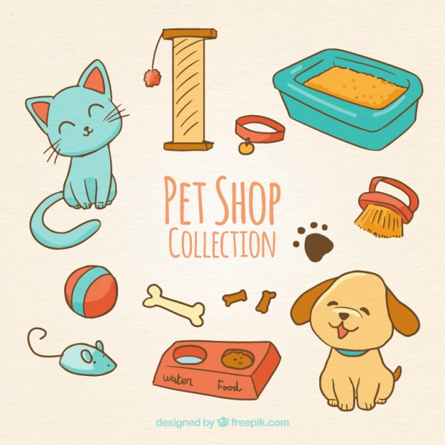 626x626 Cute Animals With Accessories Vector Free Download