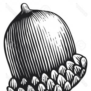 300x300 Stock Illustration Autumn Fall Fox Next To Leaves Acorns Chestnuts