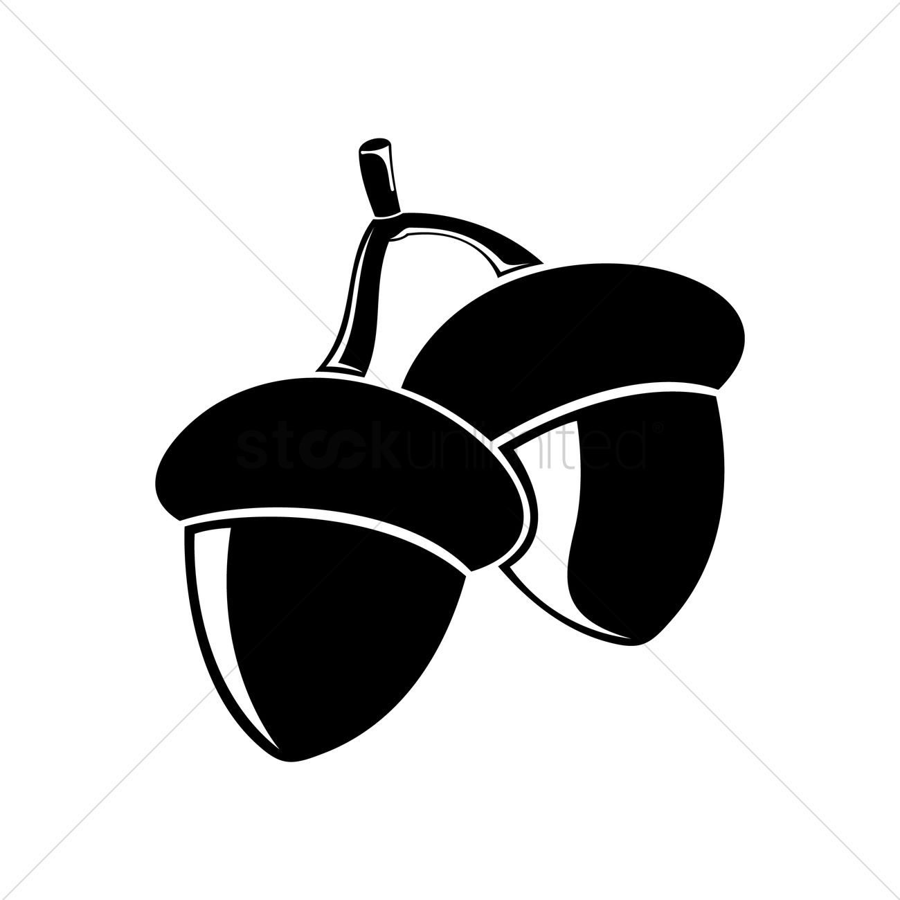 1300x1300 Acorn Vector Image