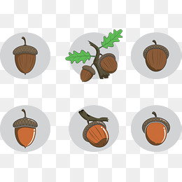 260x260 Acorn Vector Png, Vectors, Psd, And Clipart For Free Download
