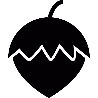 400x400 Acorn Free Vectors, Logos, Icons And Photos Downloads