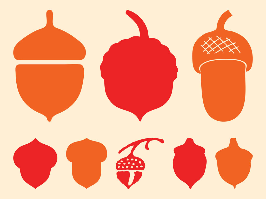 1024x765 Acorns Silhouettes Vector Art Amp Graphics