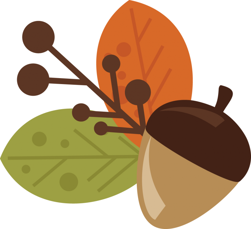 800x730 Collection Of Free Acorn Drawing Free Vector. Download On Ubisafe